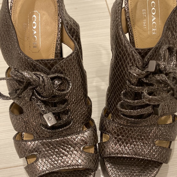 Metallic Alligator Coach Platforms - Picture 2 of 3